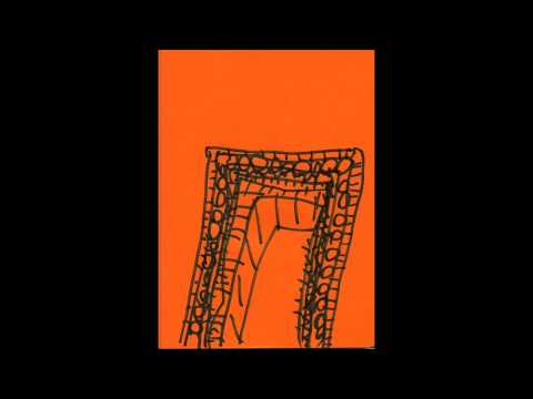 Badun — Badun - Fradig james (Icarus Remix)