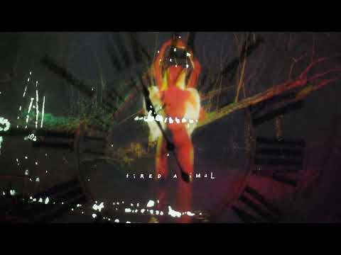 The Mysterines — Tired Animal
