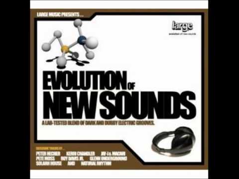 Roy Davis Jr. — Roy Davis Jr. - Paradise