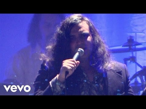 Enjambre — Enjambre - Tulipanes (En Vivo Desde Palacio De Los Deportes/ Gira Proaño D.F.)