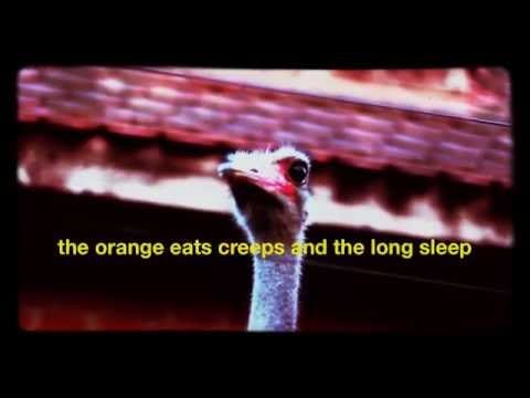 Field Guides — Field Guides - "A Song After Grace"