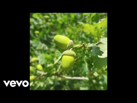 Ian Brown — Ian Brown - Little Seed Big Tree