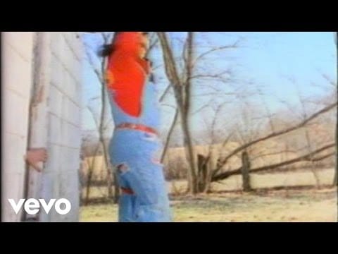 The Kentucky Headhunters — The Kentucky Headhunters - The Ballad Of Davy Crockett