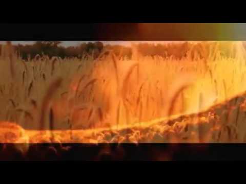 The Low Anthem — The Low Anthem To the ghosts who write history books