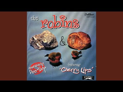 The Robins — Hurt Me