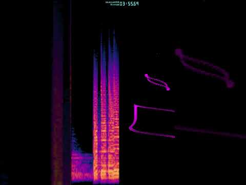 Solar X — solar x - divergent sequence 04 cycler
