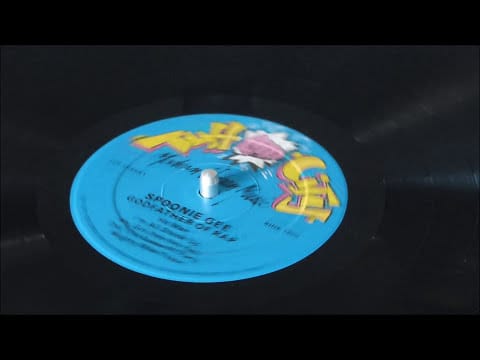 Spoonie Gee — Spoonie Gee - I'm All Shook Up (Vinyl)