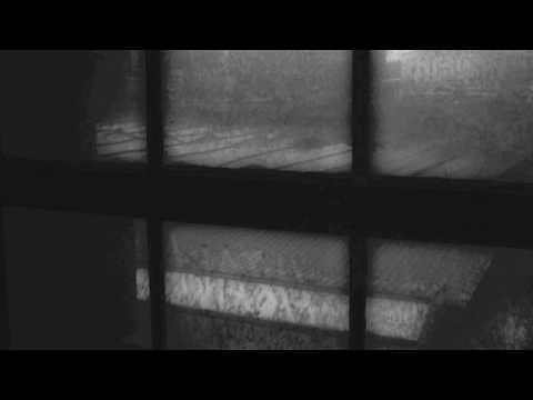 Max Richter — Max Richter-Broken Symmetries For Y