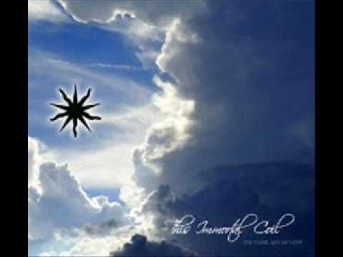 This Immortal Coil — This Immortal Coil - Amber Rain