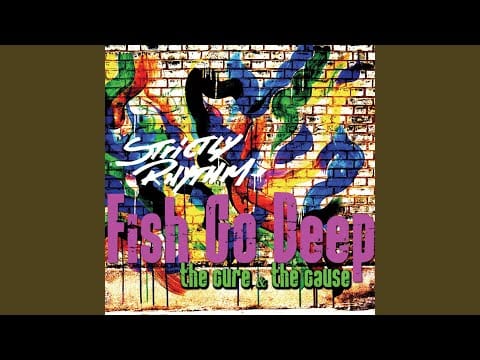 Fish Go Deep — The Cure & the Cause (The Cube Guys Remix)