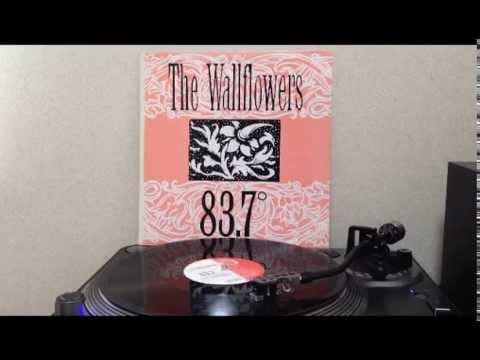 The Wallflowers (2) — The Wallflowers - 83.7 (12inch)