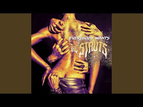 The Struts (3) — These Times Are Changing