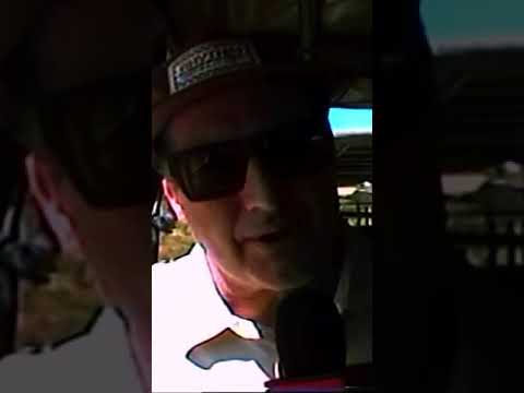 Green Day — Lions, tigers and Tré... OH MY !! 🎥 Ryan Baxley