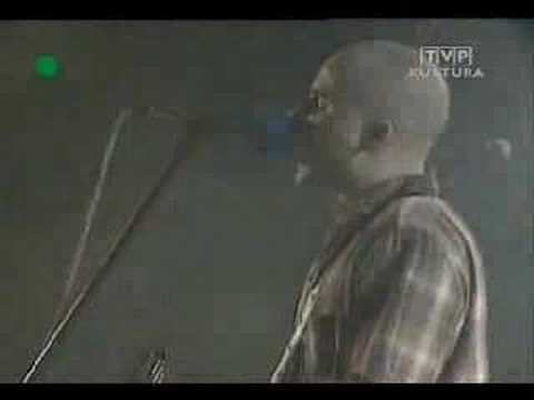 Myslovitz — Myslovitz - Peggy brown (z programu 100 % live)