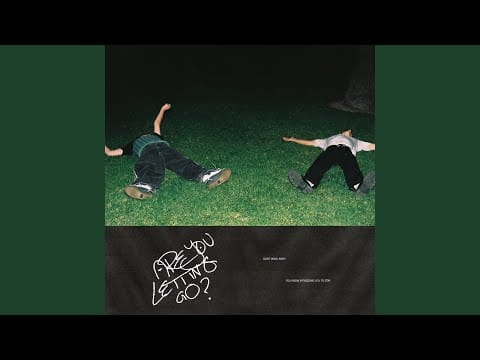 Dreamer Boy — ARE YOU LETTING GO?