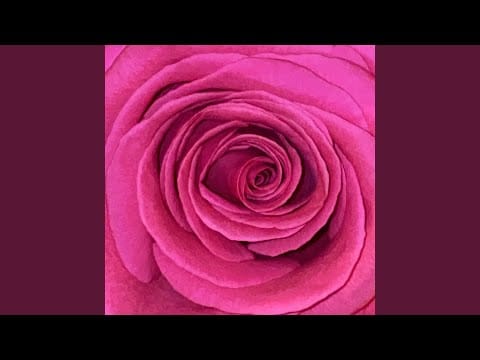 Bilderbuch — Bergauf