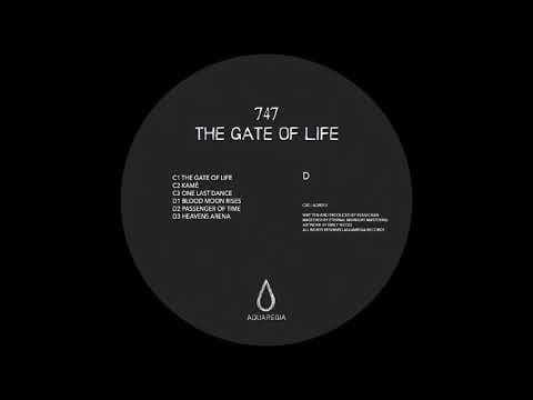 747 — 747 - Heavens Arena [AQR013]