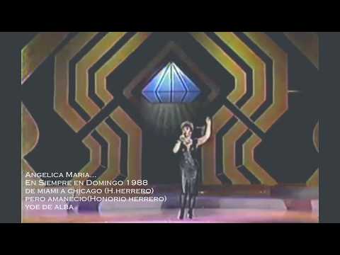 Angelica Maria — ANGELICA MARIA En Siempre En Domingo 1988