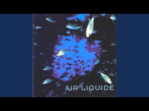 Air Liquide — Revelation
