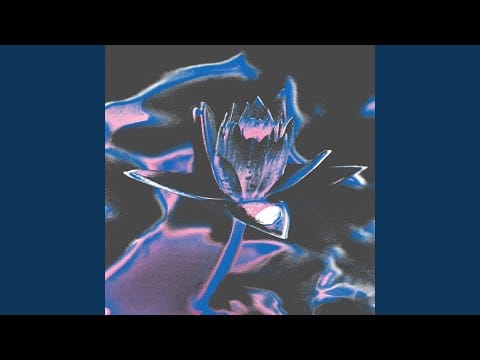 Swoose — Introspective
