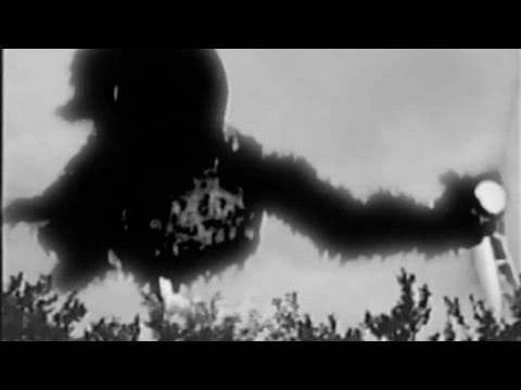 Powersolo — PowerSolo - Sloppy Bird Boogie (Official Music Video)