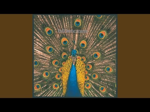 The Bluetones — A Parting Gesture