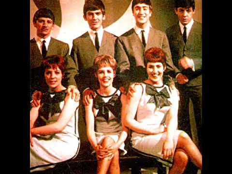 The Vernons Girls — The Vernons Girls : We Love The Beatles
