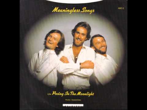 The Heebeegeebees — The Heebeegeebees - Posing In The Moonlight (b-side of Meaningless Songs 7" 45)