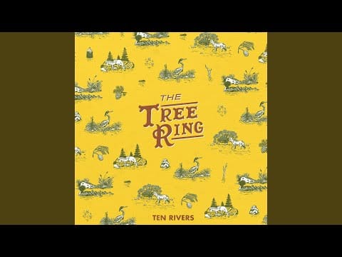 The Tree Ring — Feet in the Water