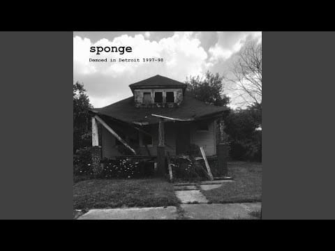 Sponge (3) — Born to Be Wild