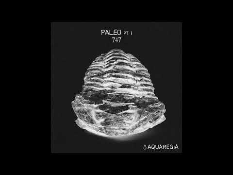 747 — 747 - Cretaceous [AQR007]
