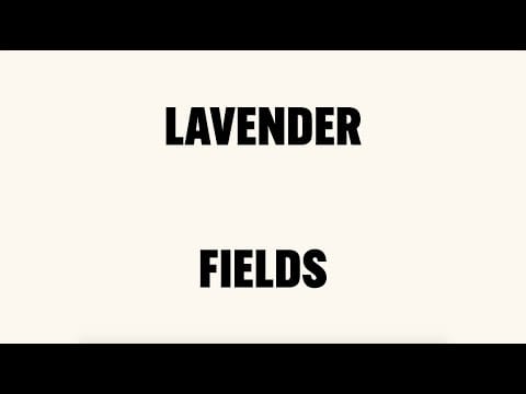 Nick Cave & Warren Ellis — Nick Cave & Warren Ellis - Lavender Fields (Lyric Video)