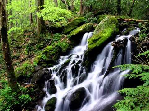 DJ Bim — Invisible Reality - Speacial Feeling