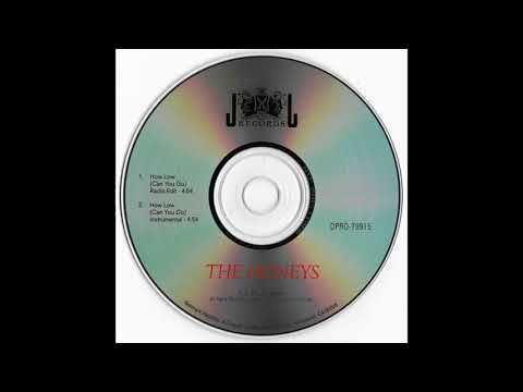 The Honey's — The Honeys - How Low (Can You Go) (Radio Edit)
