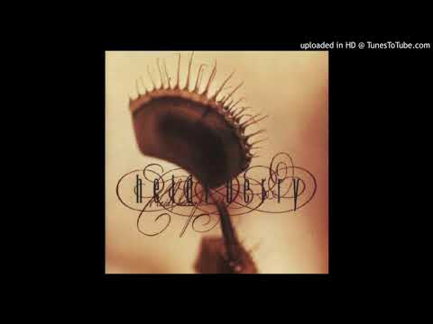 Heidi Berry — Heidi Berry - Follow