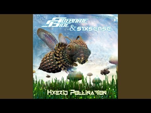 Sixsense — After Life (Original Mix)