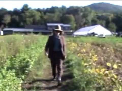 Mark Mulcahy — Mark Mulcahy - 'In Pursuit of your Happiness' (Official Video)