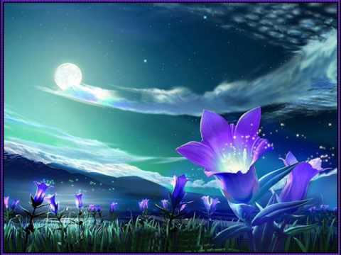 DJ Weaver — Dj Weaver - Come Into My Dream (Hixxy Remix)