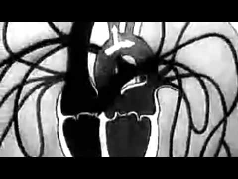 The HELM — The Helm - Daymares (Symptoms Come to Light)