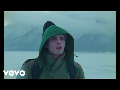 Finn Wolfhard — Objection!