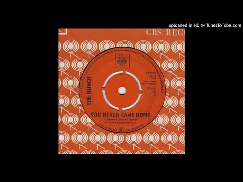 The Bunch (2) — Bunch - You Never Came Home