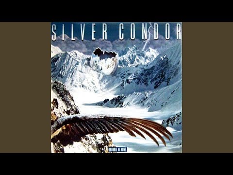 Silver Condor — I Stand Accused
