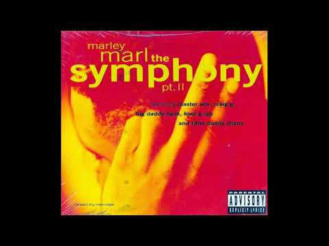 Kool G Rap — Marley Marl - The Symphony, Pt. II (D.J. Delight)