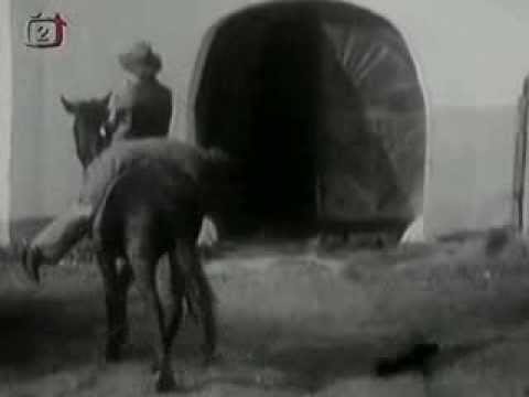 Jitka Molavcová — Jitka Molavcová - Vrať mi moje srdce zpátky