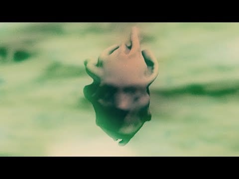 Gojira (2) — Gojira - The Shooting Star [OFFICIAL VIDEO]