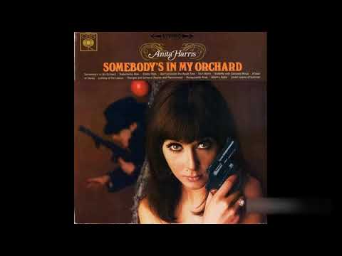 Anita Harris — Anita Harris - Somebody´s In My Orchard -1966 (FULL ALBUM)
