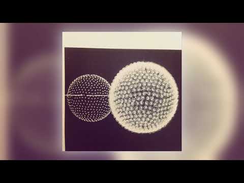Linkwood — Linkwood - Ignorance Is Bliss [Audio] (11 of 12)
