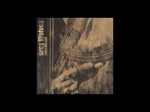 The Grey Wolves — Grey Wolves ‎– Pure Hatred |Special Edition| (Membrum Debile Propaganda, 2003) [Full Comp.]