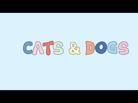 Best Coast — Best Coast - Cats & Dogs (Official Lyric Video)