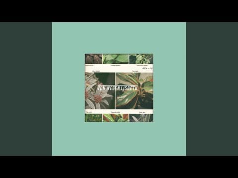 Von Wegen Lisbeth — Bärwaldpark